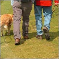 Walkers enjoying a stroll