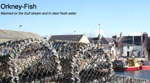 Orkney-fish.com screen image