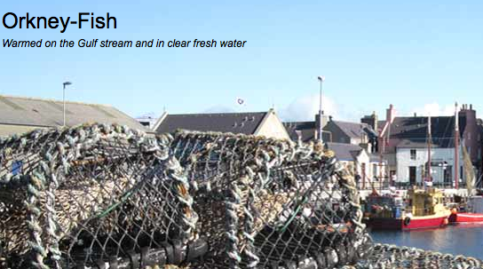 Orkney-fish.com screen image