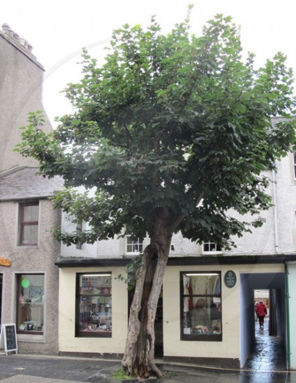 Malcolm Laing birthplace